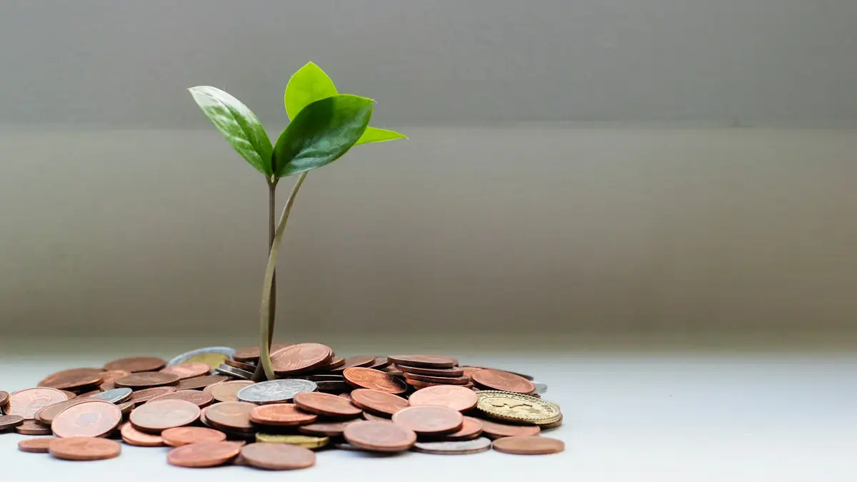 Broto de planta crescendo sobre uma pilha de moedas
